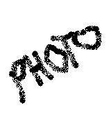photo.jpg